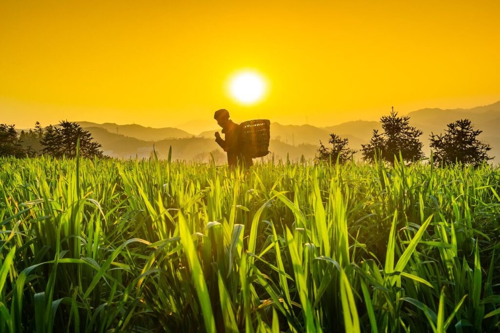 acrescentar o tempo rural sem contribuição na aposentadoria urbana